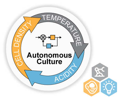 Autonomous culture