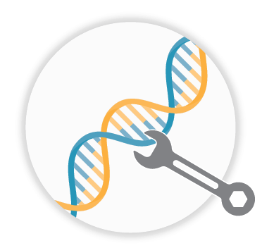 DNA engineering