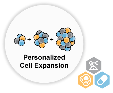 Personalized cell expansion